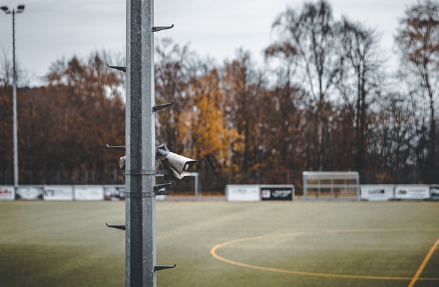 显示了我国 显示了我国