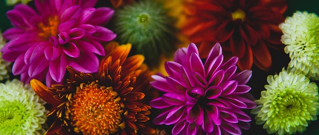 一位选手跳 一位选手跳