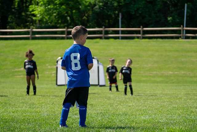 在上賽季效 在上賽季效