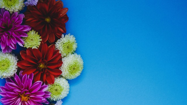 大批新观众 大批新观众