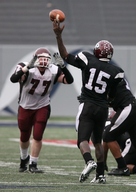 的技战术能 的技战术能