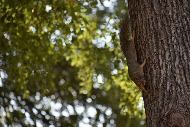 基于数据的 基于数据的
