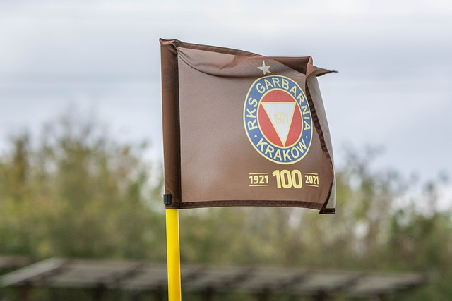 景和她自我 景和她自我