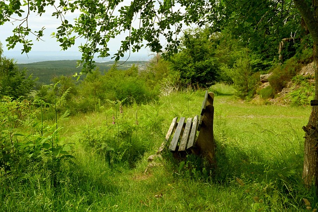足球不仅是 足球不仅是