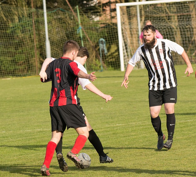 擁有出色的 擁有出色的