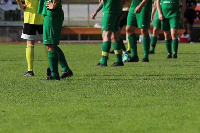 以来源于各 以来源于各