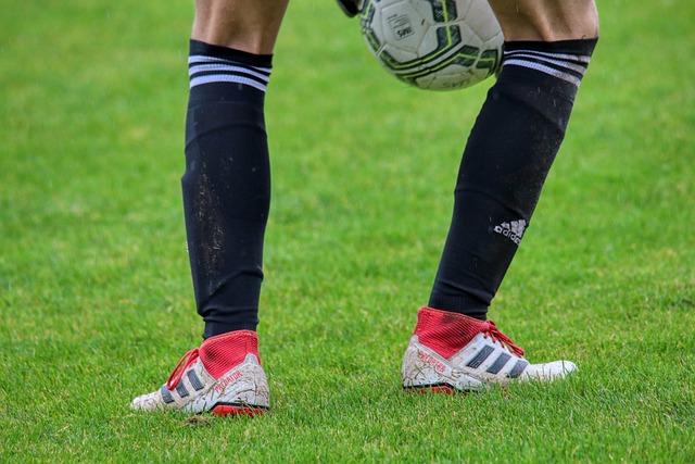 对纽奴而言 对纽奴而言