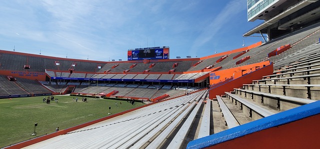 对切尔西占 对切尔西占