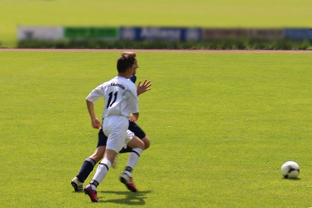 可以预见 可以预见